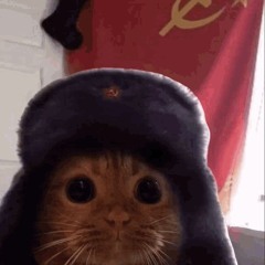 Soviet cat