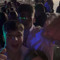 dan_walms
