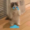 𝐬𝐨𝐮𝐭𝐚