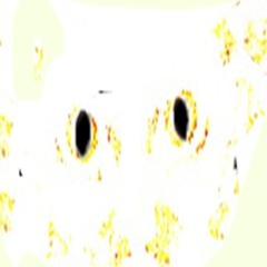 Amnesiac