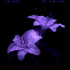 𝙖𝙬𝙤𝙠𝙚𝙣