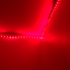 GRANFATHERXAŁIEN🎴