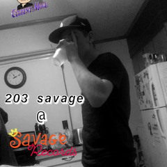 203 savage