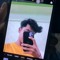 Adit WP