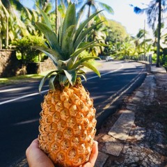 RandomPineApple