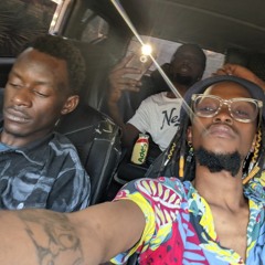 Brian Tom (PINEAL LIGHT ENTERTAINMENT)