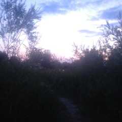 sometimeslikethetide