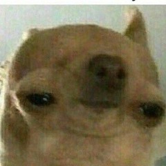 badstuffforadollar