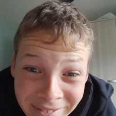Louisoostvogels
