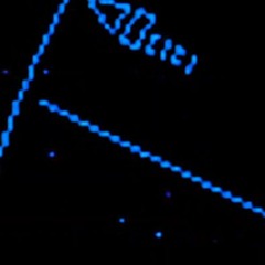 Nightchop