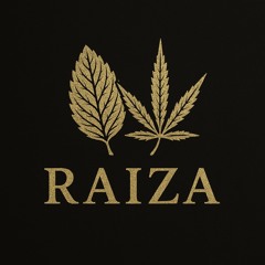 RAIZA Sound Experience