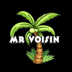 Mr Voisin