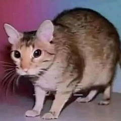 Aхуй)