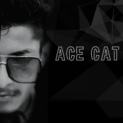 ACE CAT Music