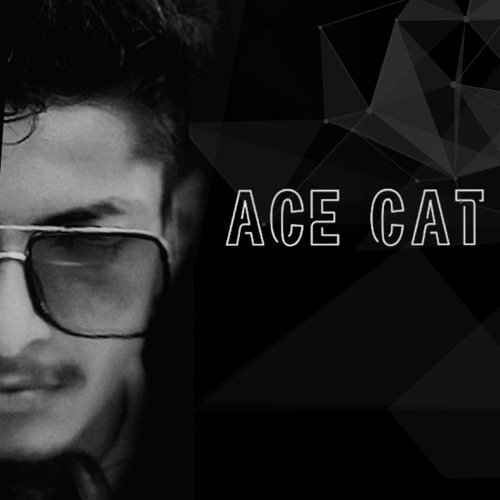 ACE CAT Music’s avatar