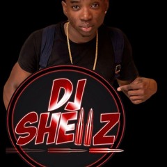 DJ SHELL'Z