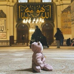 محمود يونس /1420