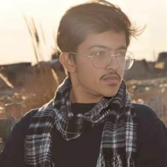 Zeeshan Nasir Bajwa