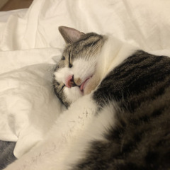 장화평