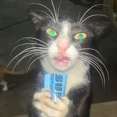 blue panda