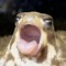 Ghost_Rat