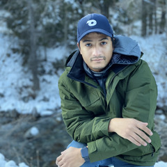 Lonnie Venecia