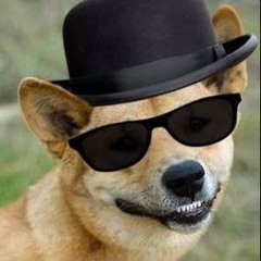 RonDingo