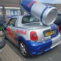 Gillian Van der werf