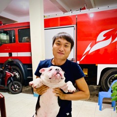Thiện Phú