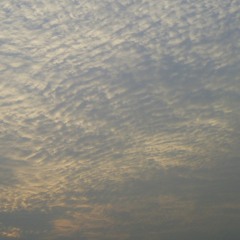 Rippled Cloud Canopy