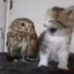 доставай нож