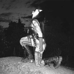 Panzerdivision Black Metal