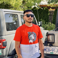 chahal pb03