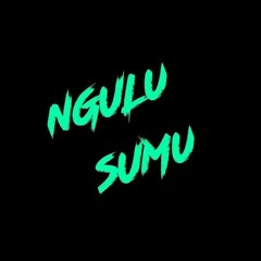 NGULUSUMU MUSIC