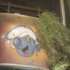 hsrepu
