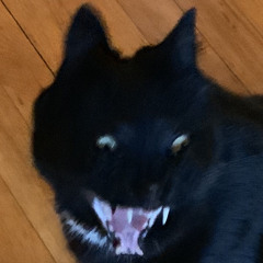 ray