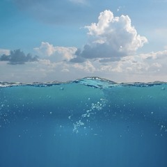 Kalle Och Hans Vänner Demo - 88