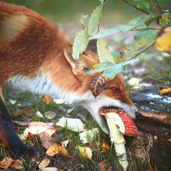 Uzumaki Noise Practice