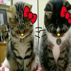 luvmss