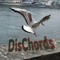 DisChords