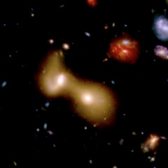 brandon michael (crittendon)