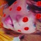itz._.abby._.fr