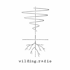 Wildingradio