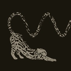 Low Frequency Ocelot