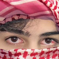 AREEB MANDOKHAIL