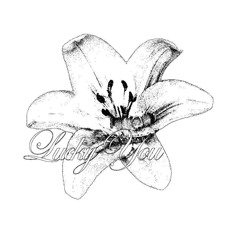 Djm
