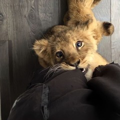 ксенюшка