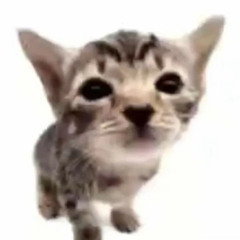 deejaydgen