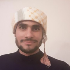 Mohammad Elshoura