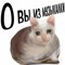 Чукарюка
